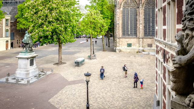 Domplein